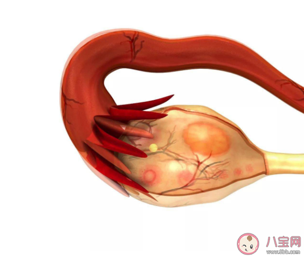 為什么促排卵針不能隨便打 促排卵針的副作用是什么