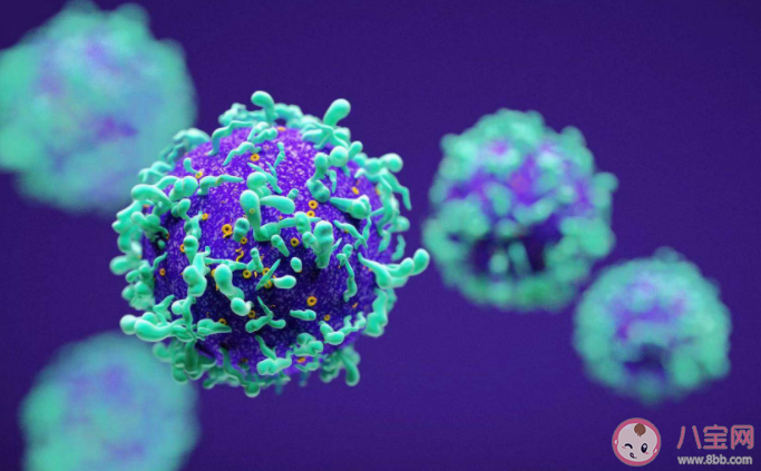 尖銳濕疣會(huì)通過(guò)馬桶傳播嗎 患上尖銳濕疣要怎么辦 尖銳濕疣會(huì)通過(guò)馬桶傳播嗎 患上尖銳濕疣要怎么辦