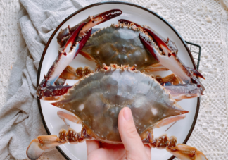 梭子蟹的漁汛一年有幾次 螞蟻莊園12月8日答案解析