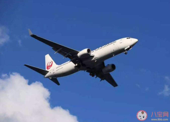 螞蟻莊園坐飛機出現耳朵疼活動什么位置有助于緩解 12月11日答案解析 螞蟻莊園坐飛機出現耳朵疼活動什么位置有助于緩解 12月11日答案解析