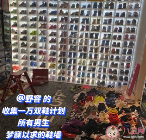 年輕人有哪些奇葩收藏癖 為什么喜歡收藏一些奇怪的東西