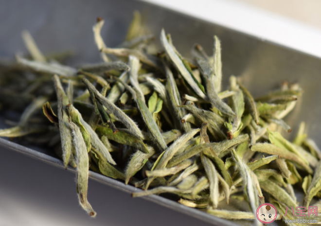 不同茶葉怎么保存 茶葉的五個存儲禁忌