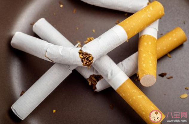 埋在土中的煙頭可影響植物生長(zhǎng)對(duì)嗎 螞蟻新村12月14日答案最新 埋在土中的煙頭可影響植物生長(zhǎng)對(duì)嗎 螞蟻新村12月14日答案最新