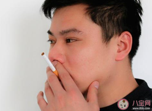 埋在土中的煙頭可影響植物生長(zhǎng)對(duì)嗎 螞蟻新村12月14日答案最新 埋在土中的煙頭可影響植物生長(zhǎng)對(duì)嗎 螞蟻新村12月14日答案最新