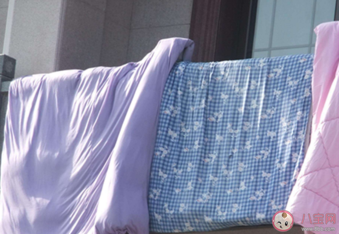 曬被子曬出來的味道是什么 不同材質的被子怎么曬