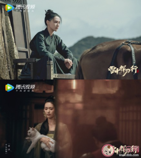 雪中悍刀行青鳥的結(jié)局是什么 青鳥最后和徐鳳年走了嗎