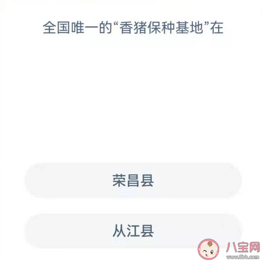 全國唯一的香豬保種基地在哪里 螞蟻莊園12月16正確答案 全國唯一的香豬保種基地在哪里 螞蟻莊園12月16正確答案