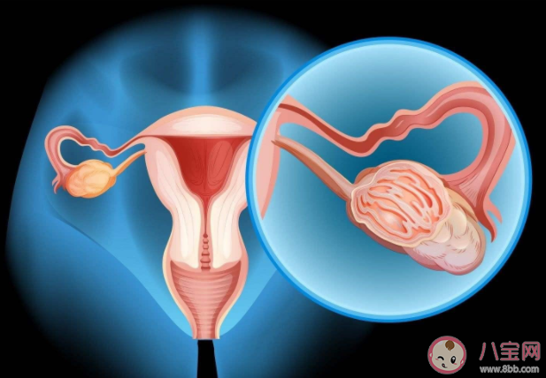 卵巢早衰能做試管嬰兒嗎 卵巢早衰做試管嬰兒要注意什么