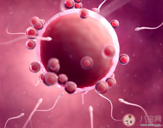 倒立平躺有助于備孕嗎 正確的備孕步驟是什么