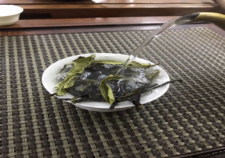 鴨屎香是什么茶 鴨屎香泡起來是什么香味