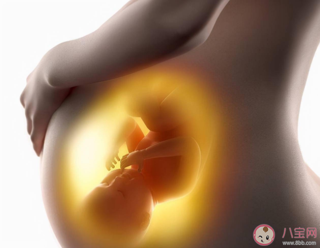 胎寶寶喜歡聽什么聲音 不喜歡聽什么聲音