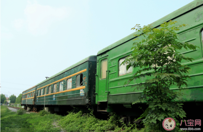 為什么不取消綠皮火車 綠皮火車應(yīng)該取消嗎 為什么不取消綠皮火車 綠皮火車應(yīng)該取消嗎