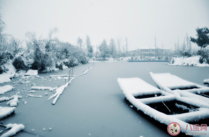 螞蟻莊園數(shù)九是從哪個(gè)節(jié)氣開始的 12月21日正確答案