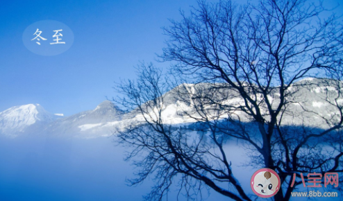 下列哪個是冬至的別稱 螞蟻莊園12月21日答案介紹 下列哪個是冬至的別稱 螞蟻莊園12月21日答案介紹