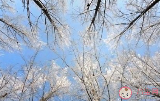 數(shù)九寒天中數(shù)九是從哪個(gè)節(jié)氣開始螞蟻莊園 12月21日答案更新 數(shù)九寒天中數(shù)九是從哪個(gè)節(jié)氣開始螞蟻莊園 12月21日答案更新