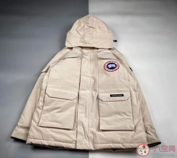 下列哪種清洗劑更適合清洗羽絨服 螞蟻莊園12月12日正確答案 下列哪種清洗劑更適合清洗羽絨服 螞蟻莊園12月12日正確答案