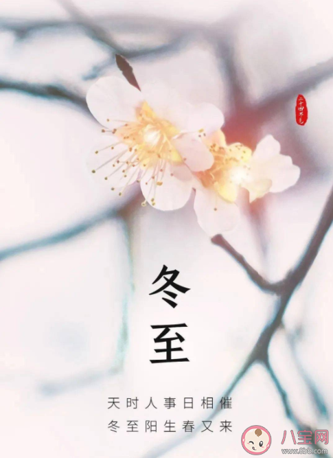 螞蟻莊園天文觀測確定二十四個節氣每年的起點是哪個 12月11日答案解析