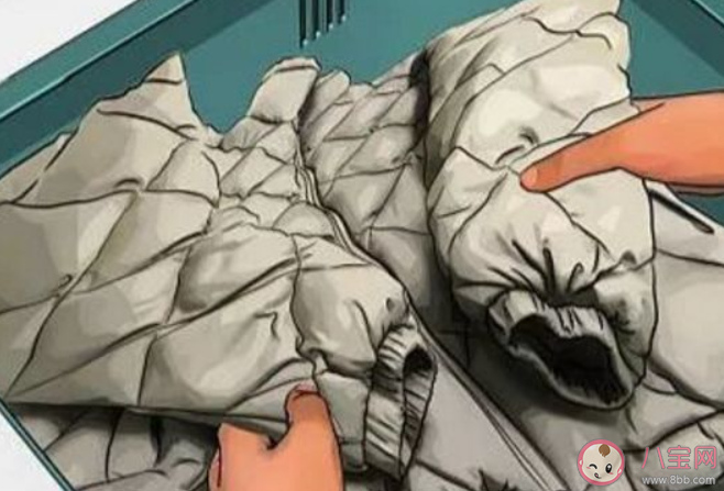 哪種清洗劑更適合清洗羽絨服螞蟻莊園 12月22日答案介紹 哪種清洗劑更適合清洗羽絨服螞蟻莊園 12月22日答案介紹