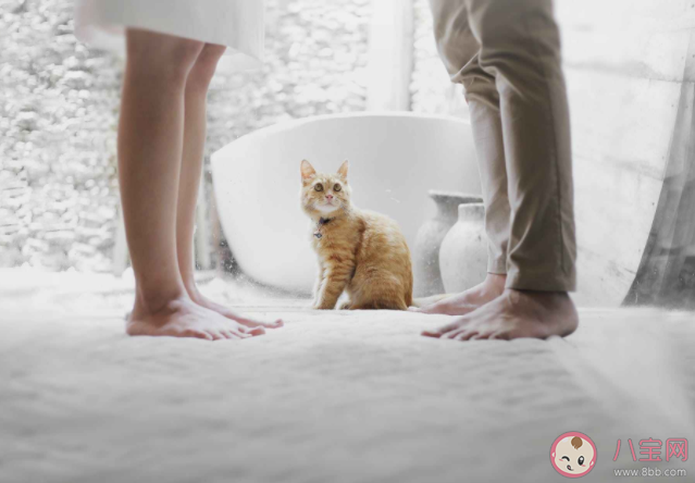 有些人天生自帶出軌基因嗎 什么體質的人容易出軌