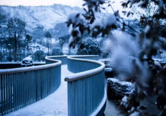 冬季抑郁的原因是什么 冬季抑郁怎么辦