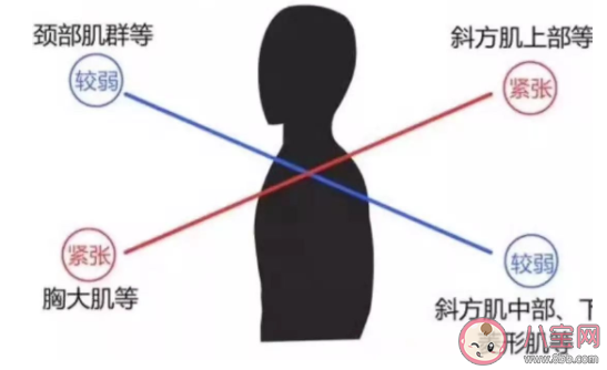 長時間圓肩駝背頭前伸有什么危害 如何快速擺脫圓肩駝背