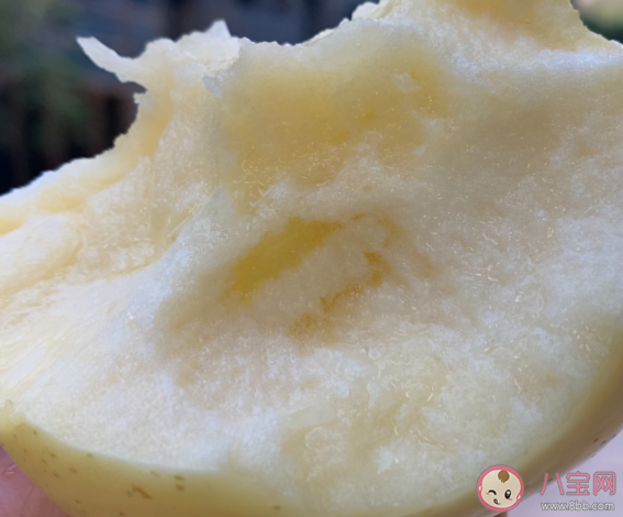 奶油蘋果到底是什么蘋果 奶油富士和紅富士的區別 奶油蘋果到底是什么蘋果 奶油富士和紅富士的區別