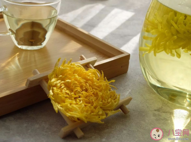 菊花泡水怎么喝效果更好 喝菊花茶的注意事項(xiàng) 菊花泡水怎么喝效果更好 喝菊花茶的注意事項(xiàng)