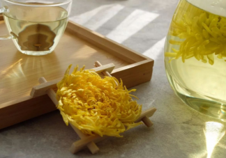 菊花泡水怎么喝效果更好 喝菊花茶的注意事項