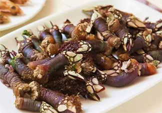 為何鵝頸藤壺這么貴 鵝頸藤壺做菜好吃嗎