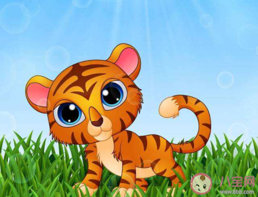 2022幾月開(kāi)始出生的寶寶屬虎 2022元旦節(jié)出生的寶寶屬虎嗎