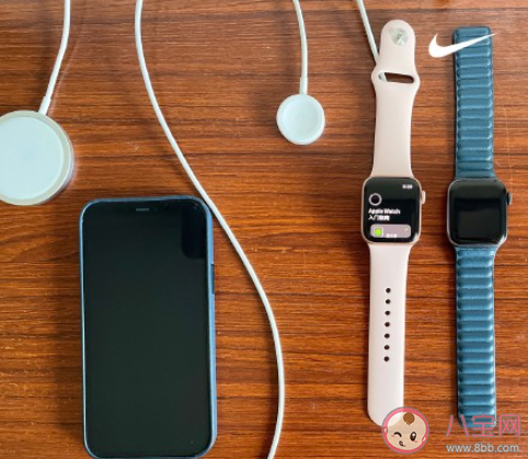 iPhone為什么堅持用直屏 iPhone一直用直屏的原因是什么