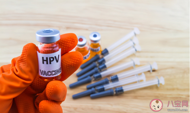 國產2價疫苗預防效果怎么樣 進口2價VS國產2價選哪個好