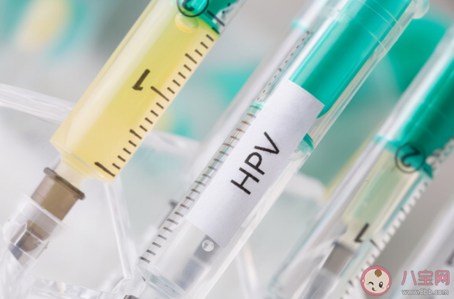 國產2價疫苗預防效果怎么樣 進口2價VS國產2價選哪個好
