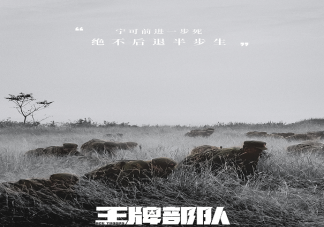 《王牌部隊(duì)》是不是小說改編的 《王牌部隊(duì)》各人物結(jié)局是什么