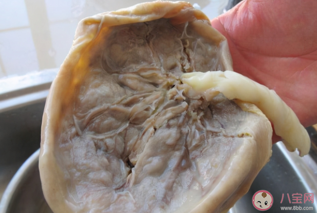 胎盤大補究竟是傳言還是真的 胎盤如何處理比較好