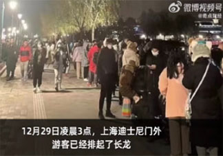 凌晨3點超5000人迪士尼排隊買玩偶 為什么迪士尼玩偶這么火