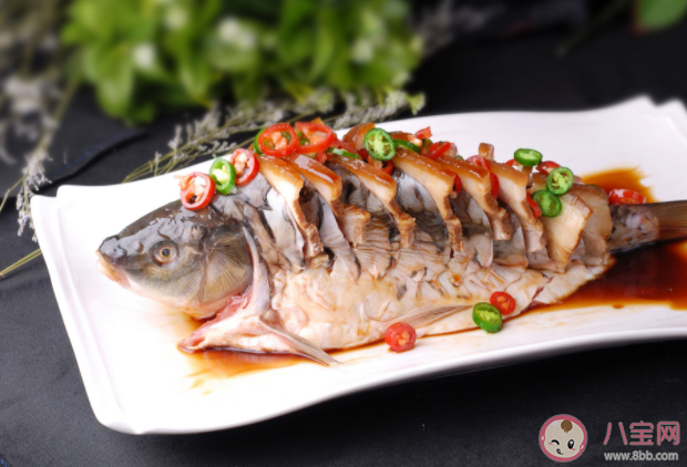 魚能識數(shù)嗎 經(jīng)常多吃魚會讓人更聰明嗎