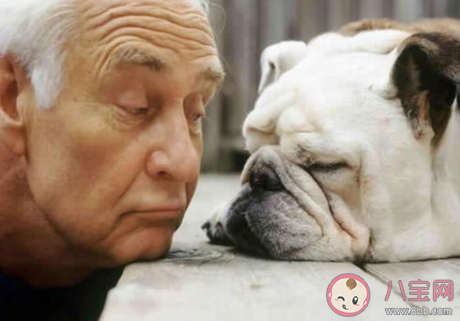 終身未婚的老人該如何養老 未婚老人晚年怎么過 終身未婚的老人該如何養老 未婚老人晚年怎么過