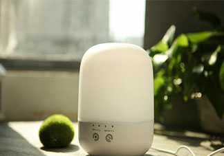 螞蟻莊園在加濕器里加消毒劑的做法可取嗎 小課堂12月31日答案最新