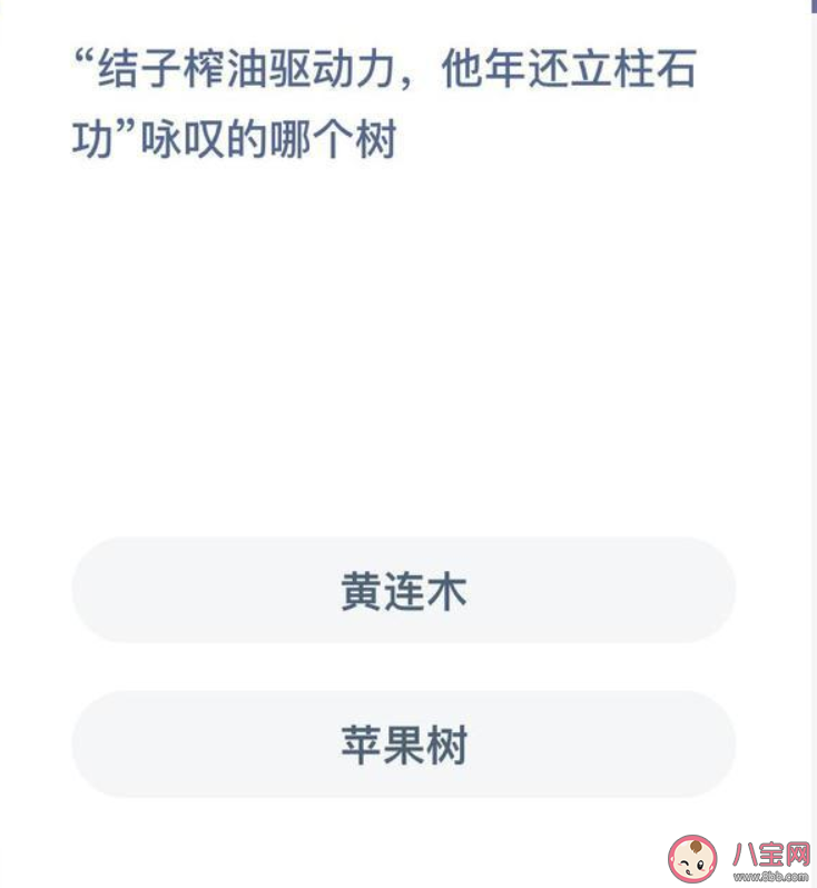 結子榨油驅動力他年還立柱石功詠嘆的哪個樹 螞蟻新村1月2日答案解析 結子榨油驅動力他年還立柱石功詠嘆的哪個樹 螞蟻新村1月2日答案解析