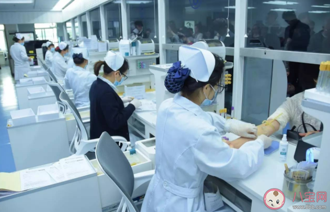 螞蟻莊園獻血者獻出的血液可以直接輸給病人嗎 1月5日正確答案 螞蟻莊園獻血者獻出的血液可以直接輸給病人嗎 1月5日正確答案