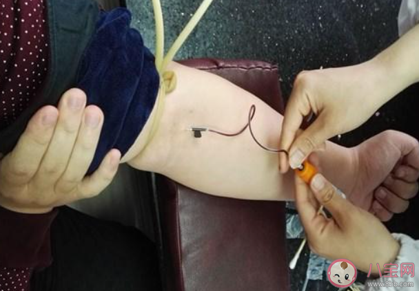 O型血真的是萬能血嗎螞蟻莊園 小課堂1月5日答案最新 O型血真的是萬能血嗎螞蟻莊園 小課堂1月5日答案最新