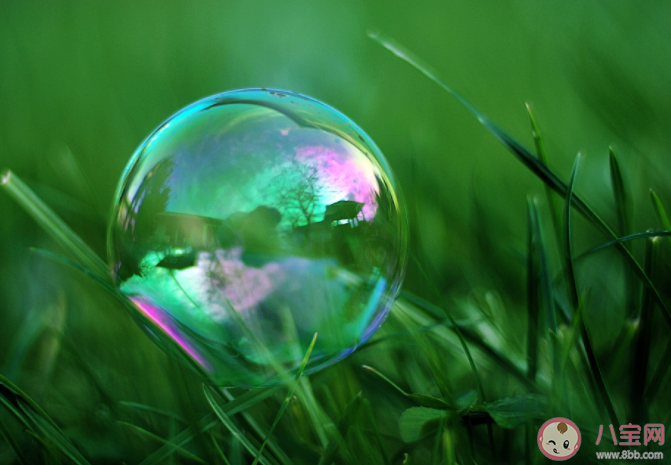 為什么陽光下吹泡泡的是五顏六色的 為什么肥皂水可以吹出泡泡