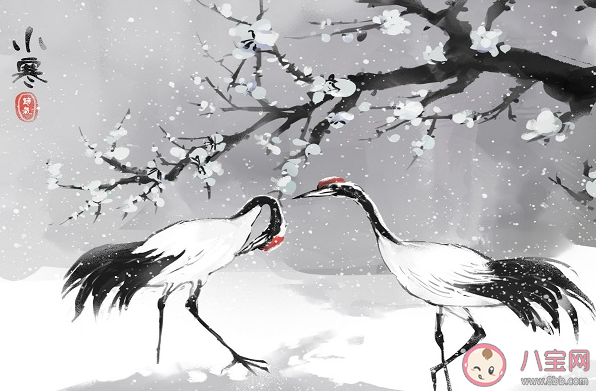 大寒一定比小寒更冷嗎 螞蟻新村1月5日答案最新