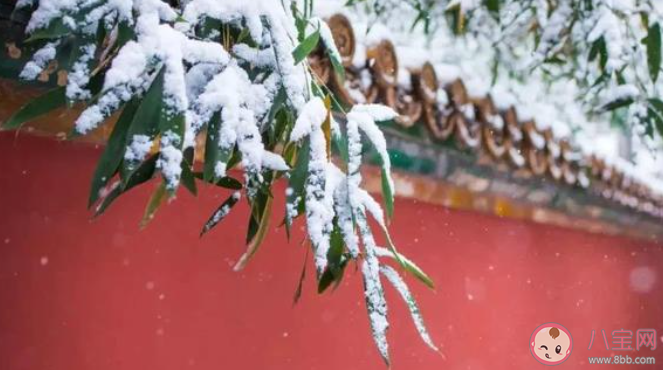 大寒一定比小寒更冷嗎 螞蟻新村1月5日答案最新