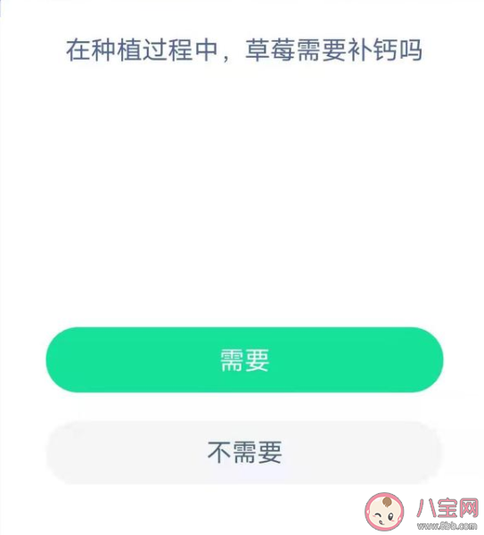 草莓種植過程中需不需要補(bǔ)鈣 螞蟻新村1月6日答案