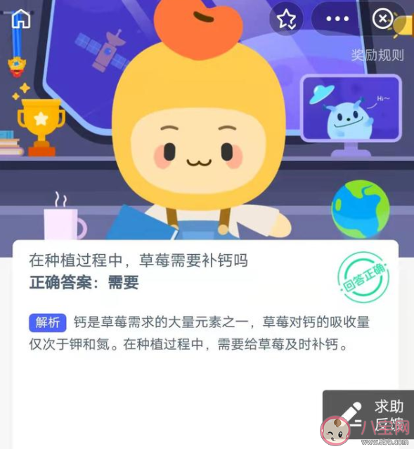 草莓種植過程中需不需要補(bǔ)鈣 螞蟻新村1月6日答案