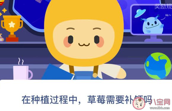 在種植過程中草莓需要補鈣嗎 螞蟻新村1月6日答案 在種植過程中草莓需要補鈣嗎 螞蟻新村1月6日答案