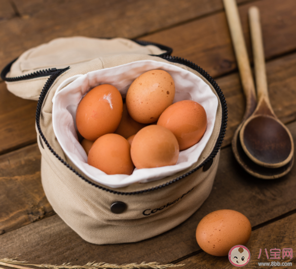 紅皮雞蛋和白皮雞蛋的營養一樣嗎 紅殼雞蛋和白殼雞蛋買哪個