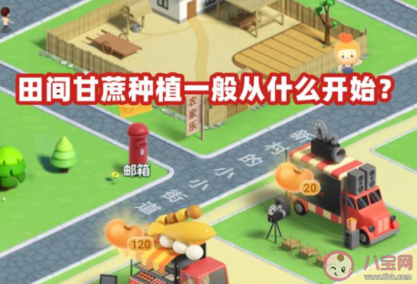 田間甘蔗種植一般從什么開始 螞蟻新村1月7日答案